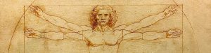 DaVinci natural studies - notebooks, pencil sktch, humanities, Vitruvian man by Luk Viatour