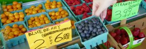 blueberries are part of the Dental Diet