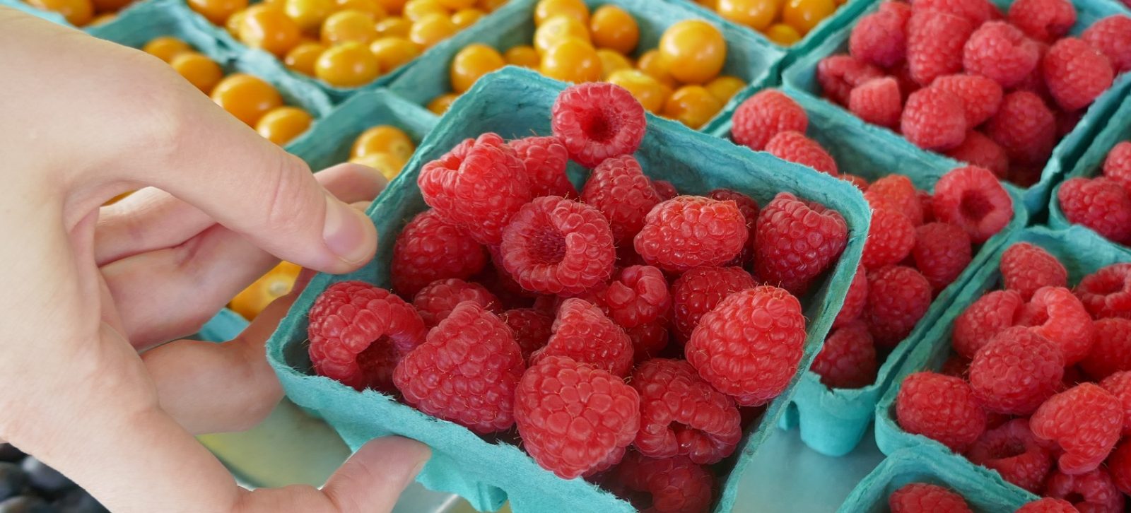 Raspberries are part of The Dental Diet