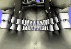 CGI inside human mouth